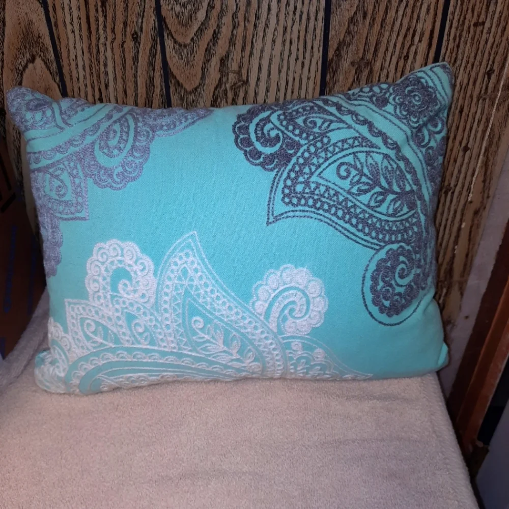 Decorative throw pillows/ set of 2